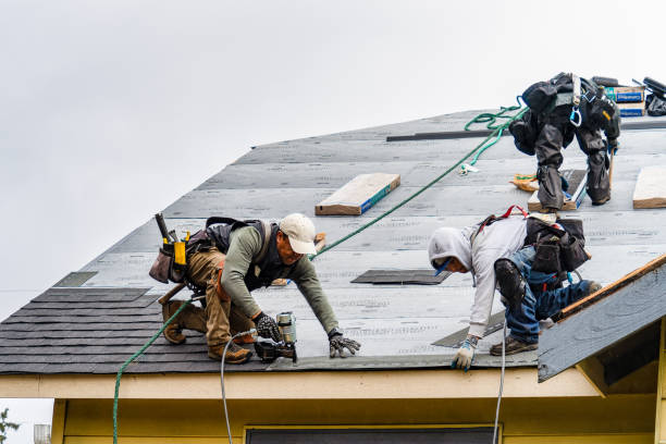 Professional Roof Inspection technician working in Bergenfield, NJ